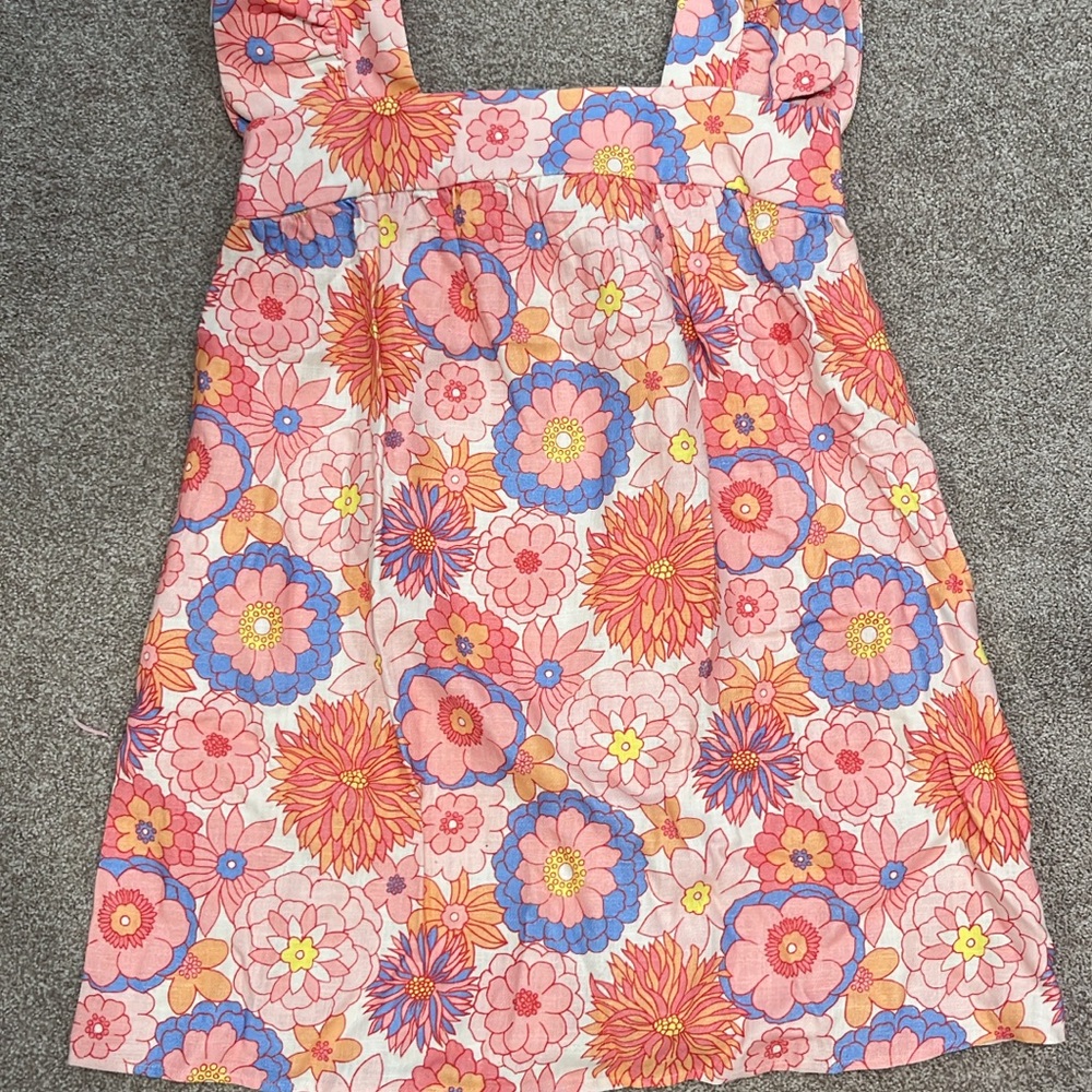 Tuckernuck Floral Pink and Blue Dress